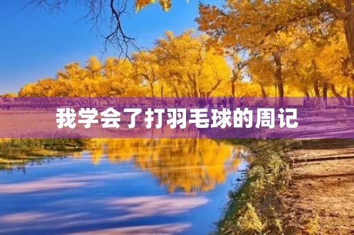 我学会了打羽毛球的周记 我学会了打羽毛球的周记