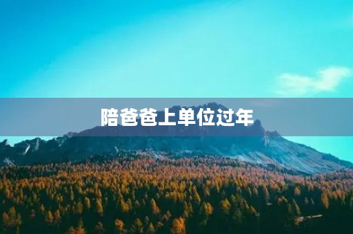 陪爸爸上单位过年 陪爸爸上单位过年