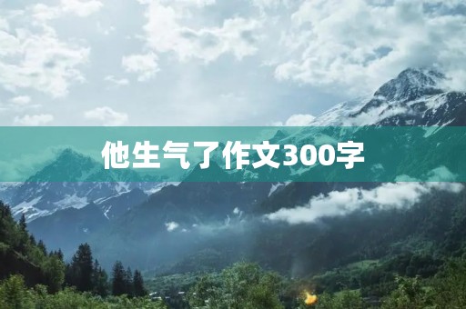 他生气了作文300字 他生气了作文300字
