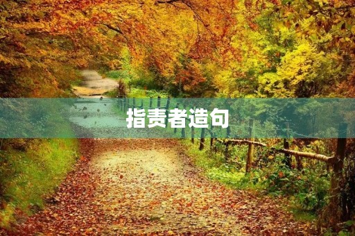 指责者造句 指责者造句