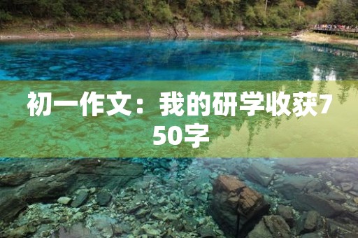 初一作文：我的研学收获750字