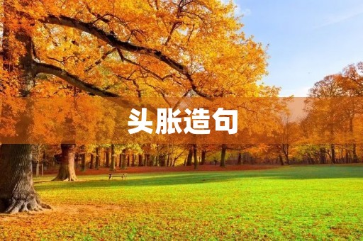 头胀造句
