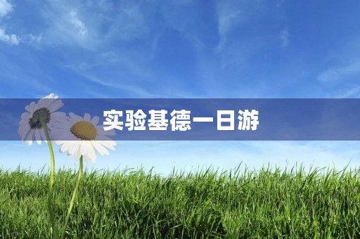 实验基德一日游 实验基德一日游