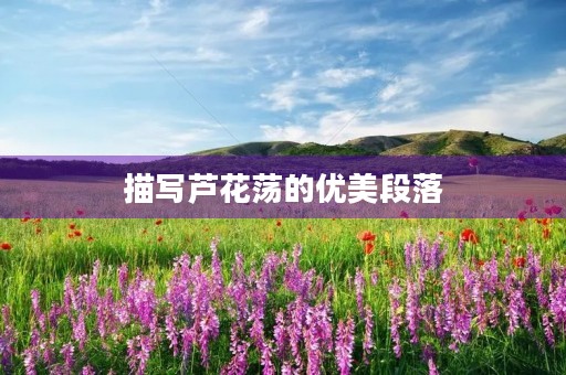 描写芦花荡的优美段落