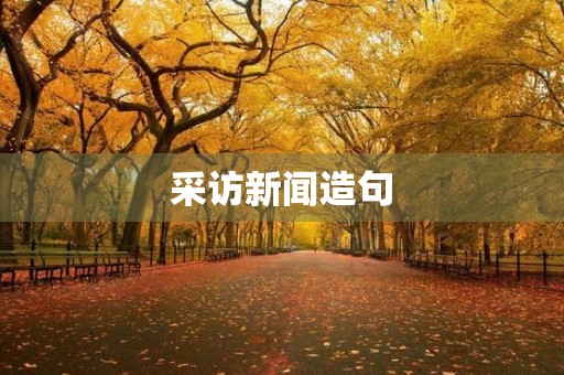 采访新闻造句