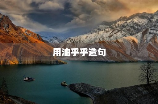 用油乎乎造句