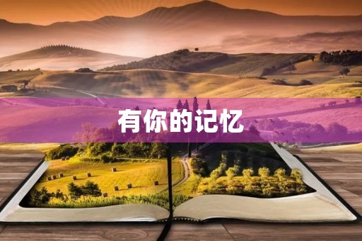 有你的记忆 有你的记忆