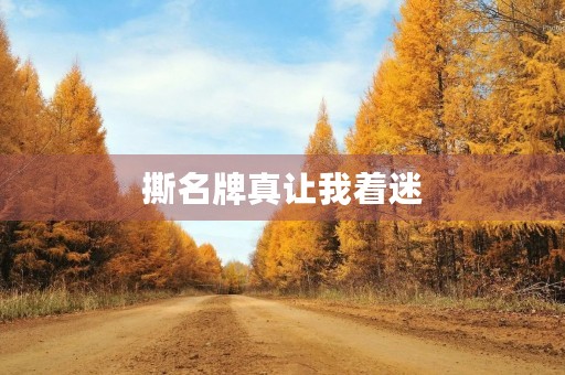 撕名牌真让我着迷 撕名牌真让我着迷