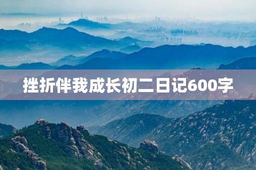 挫折伴我成长初二日记600字
