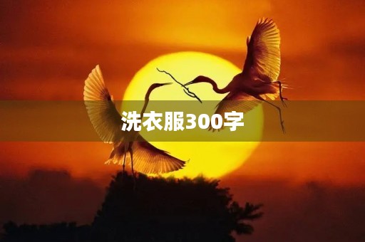 洗衣服300字