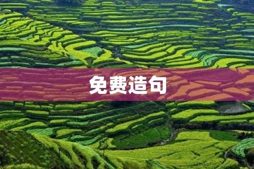免费造句 免费造句