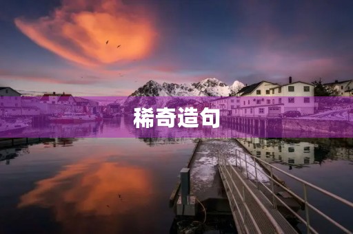稀奇造句 稀奇造句