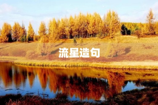 流星造句