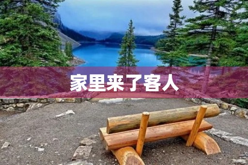 家里来了客人
