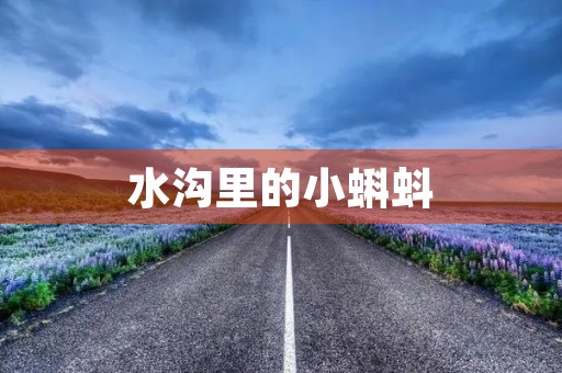 水沟里的小蝌蚪 水沟里的小蝌蚪