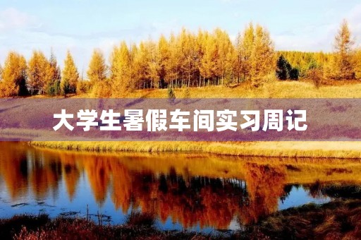大学生暑假车间实习周记 大学生暑假车间实习周记
