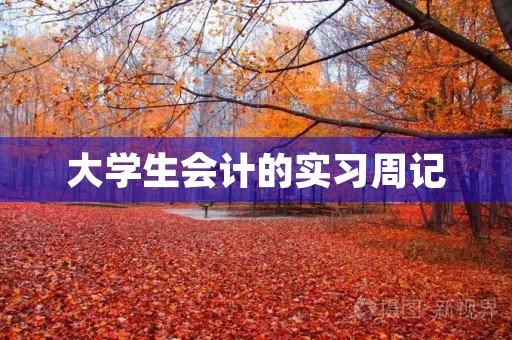 大学生会计的实习周记 大学生会计的实习周记
