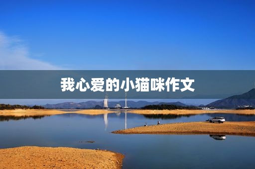 我心爱的小猫咪作文