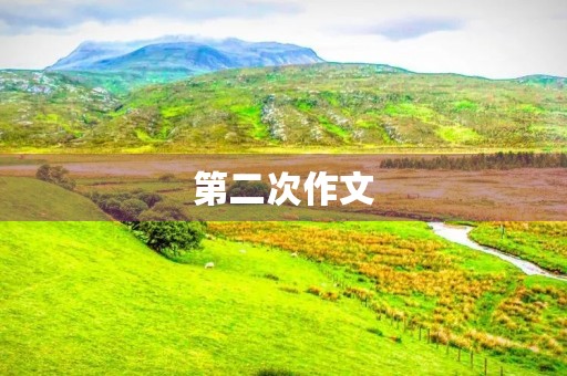 第二次作文 第二次作文