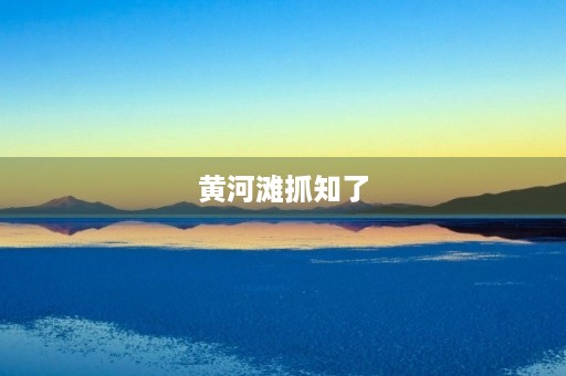黄河滩抓知了