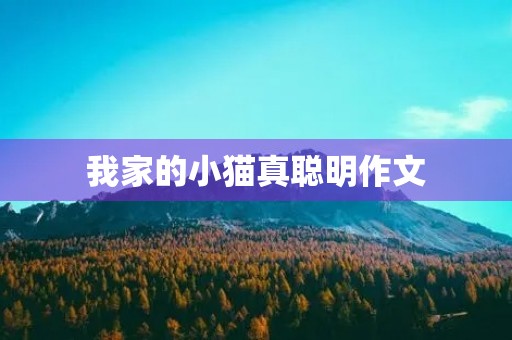 我家的小猫真聪明作文 我家的小猫真聪明作文