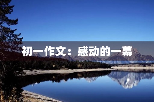初一作文：感动的一幕