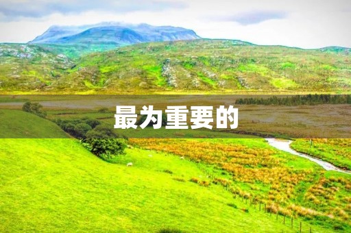 最为重要的