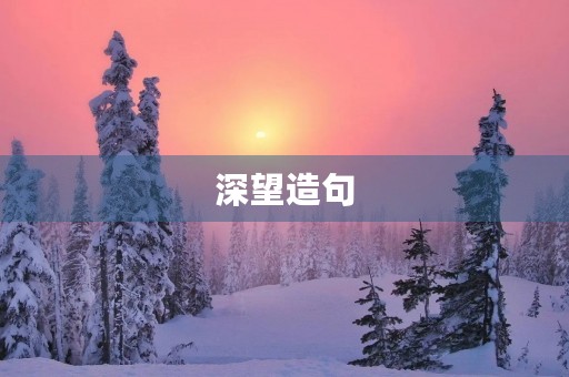 深望造句 深望造句