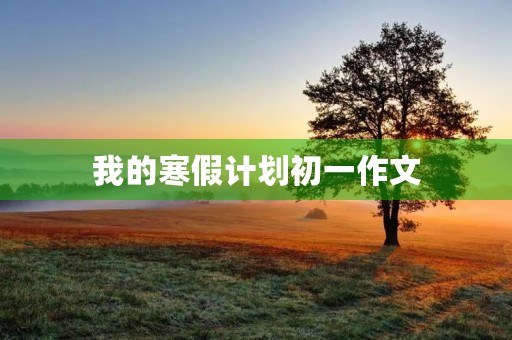 我的寒假计划初一作文 我的寒假计划初一作文