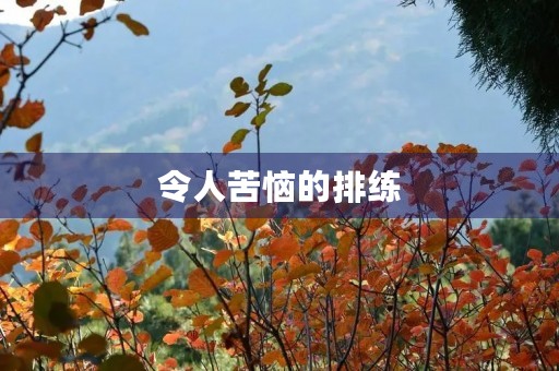 令人苦恼的排练 令人苦恼的排练