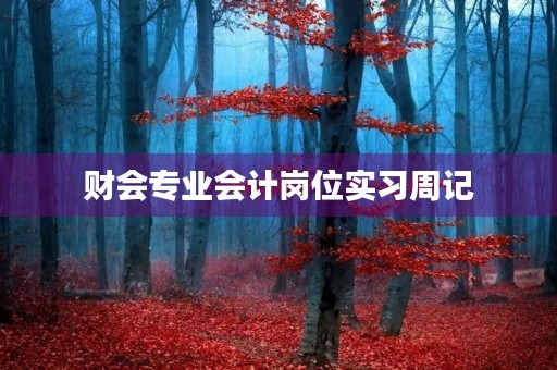 财会专业会计岗位实习周记 财会专业会计岗位实习周记