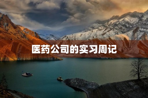 医药公司的实习周记 医药公司的实习周记