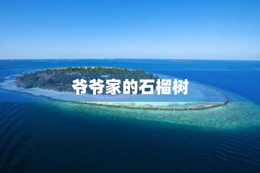 爷爷家的石榴树