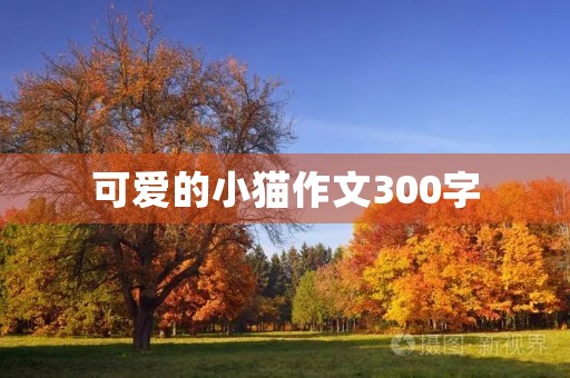 可爱的小猫作文300字