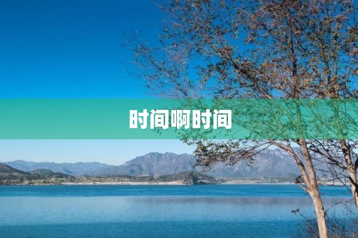 时间啊时间 时间啊时间