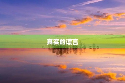 真实的谎言