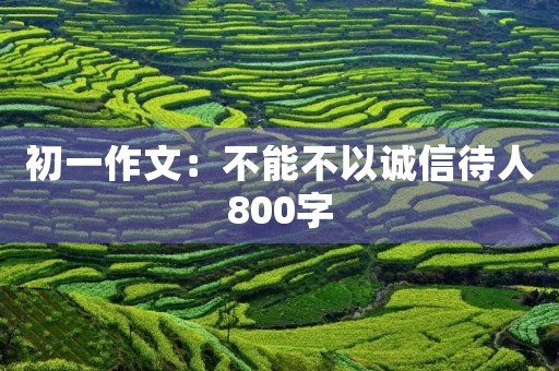 初一作文：不能不以诚信待人800字