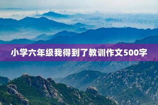 小学六年级我得到了教训作文500字