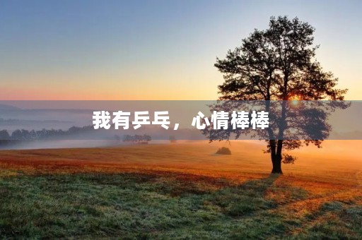 我有乒乓,心情棒棒 我有乒乓,心情棒棒