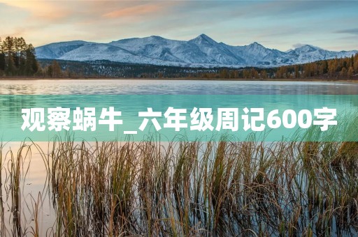 观察蜗牛_六年级周记600字 观察蜗牛_六年级周记600字