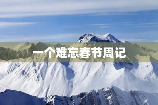 一个难忘春节周记