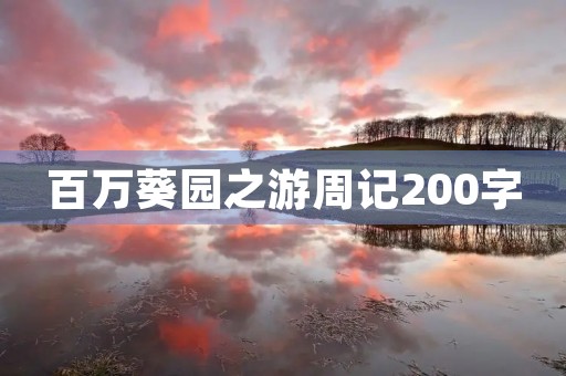 百万葵园之游周记200字