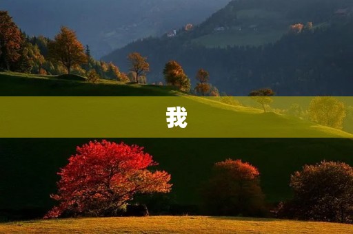 我