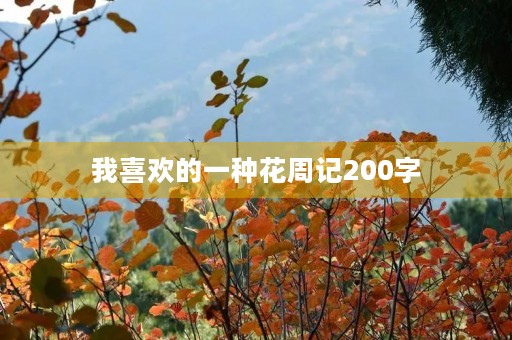 我喜欢的一种花周记200字 我喜欢的一种花周记200字
