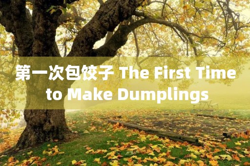 第一次包饺子 The First Time to Make Dumplings 第一次包饺子 The First Time to Make Dumplings