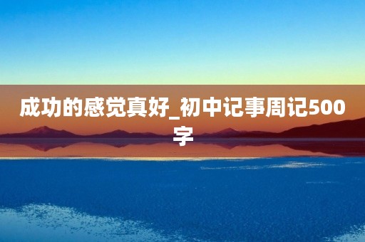 成功的感觉真好_初中记事周记500字