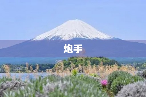 炮手 炮手