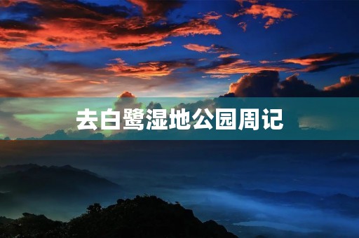 去白鹭湿地公园周记 去白鹭湿地公园周记