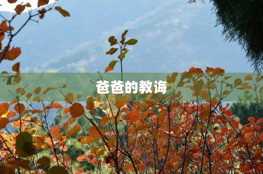 爸爸的教诲 爸爸的教诲