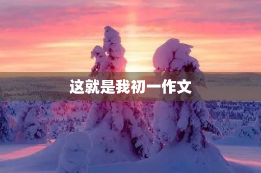 这就是我初一作文 这就是我初一作文